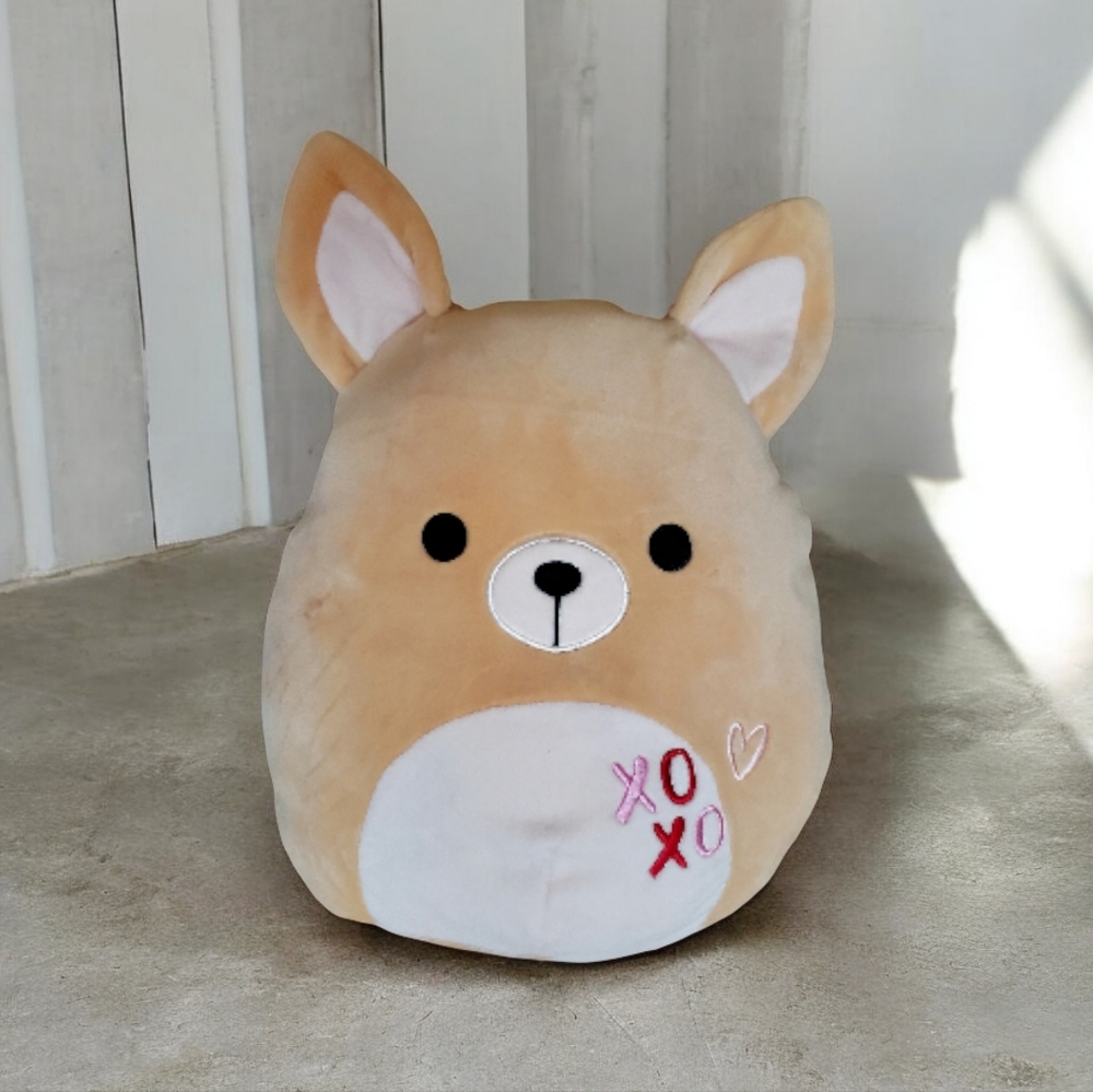 XOXO Squishmallows Chauncy The Chihuahua Plush Pointy Ears 11"‎ Tan Beige